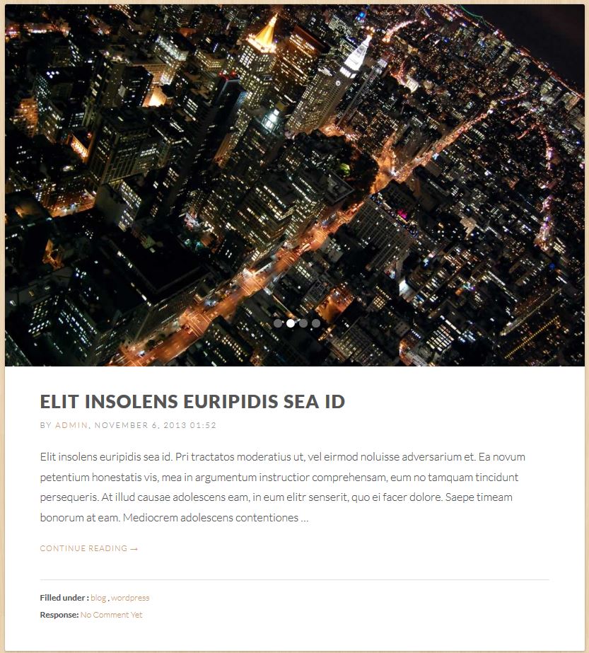 Blog Format - Image Slider