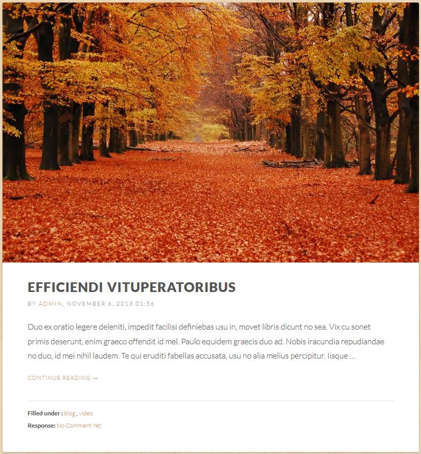 Blog Format - Standard