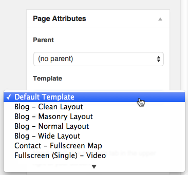 Default Page Template
