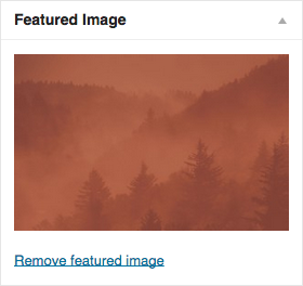 Featured Image - Single Blog Post