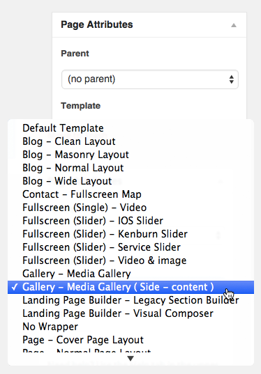 Gallery - Media Gallery (Side Content)