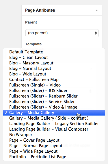 Gallery - Media Gallery Template