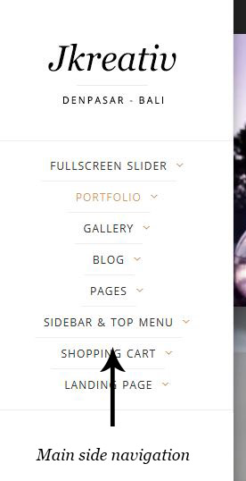 Main Side Navigation