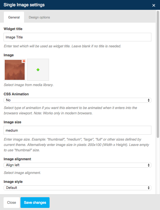 Single Image – General Settings