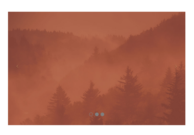 Image Carousel Preview