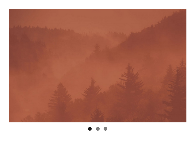 Image Gallery Preview