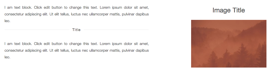 Single Image Preview