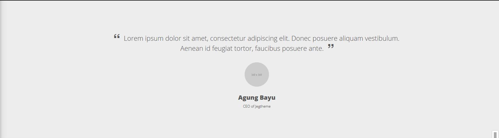 Testimonial Slider Preview