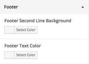Customizer Footer