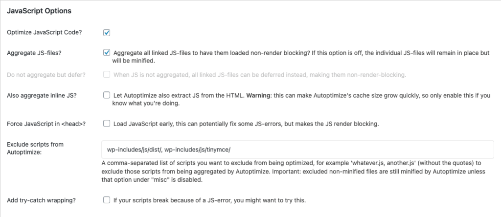On JavaScript option section
